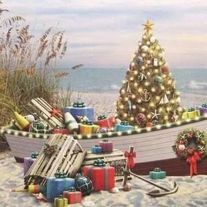 Meet your Posher, Patty